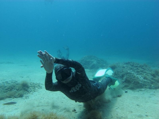  Buceo en apnea 